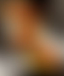 Smoked chicken, guacamole, and tomato