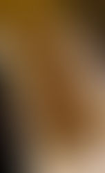 Tartine with walnuts, lemon, and ricotta pesto and sautéed mushrooms