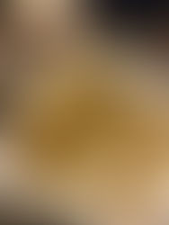 South Canara chicken biryani