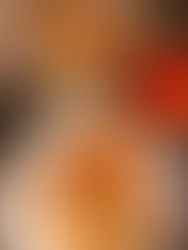 Burmese chicken biryani (Danbauk)