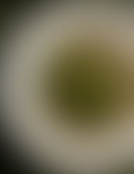 Potato soup with mustard greens