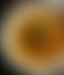 Afghan mushroom curry (Samaroq)