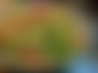 Orzo and tomato salad