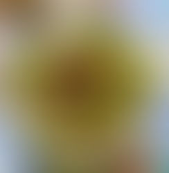 Burmese green mango salad