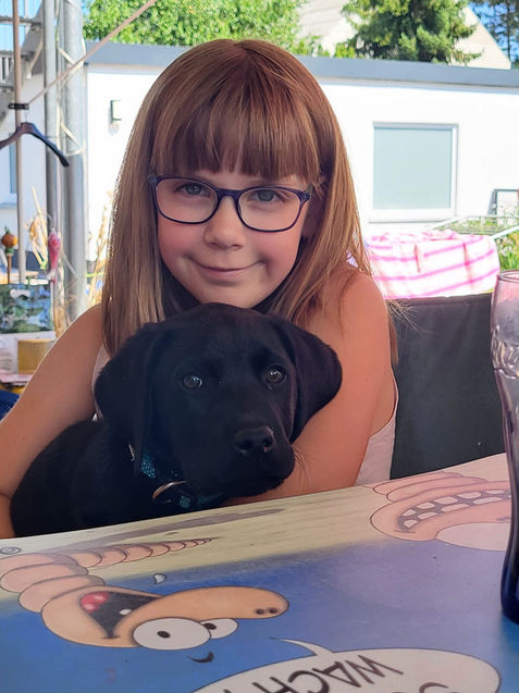 labradorwelpe-am-tisch.jpeg
