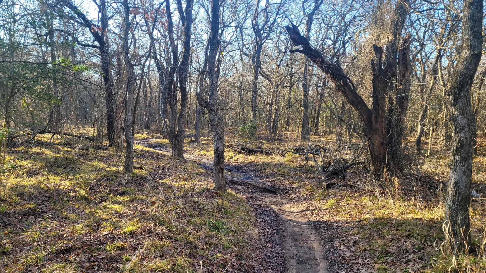 Muddy trail in Trophy Club