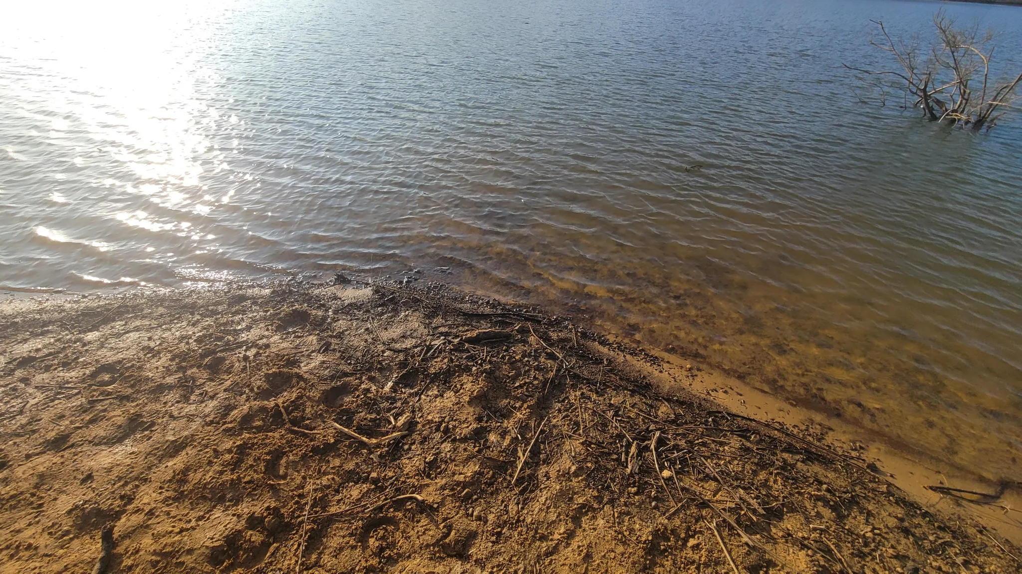 Standing on the edge of Lake Grapevine