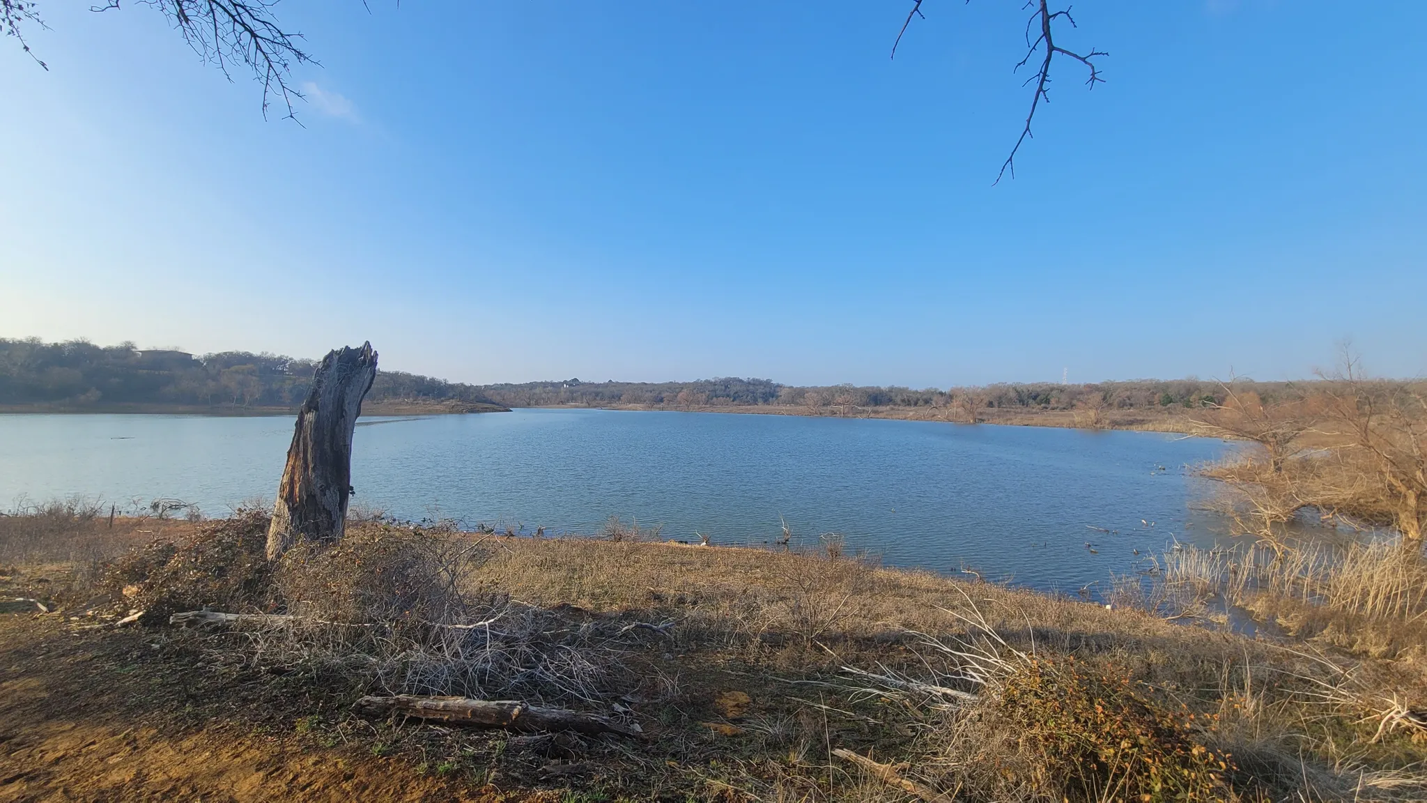 Overlooking Lake Grapevine