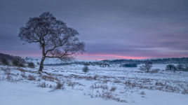 Snow at surprise view, Peak District, Snow, Winter, Derbyshire, Tree, Surprise View, Hathersage,