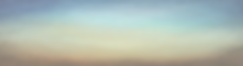 BookBrushImage (36).png