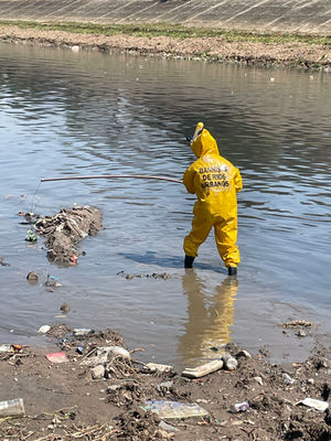 💧🚣♀️ Banhista de Rios Urbanos na remada do SOS Mata Atlântica