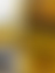 Legado da Devastação na Virada Sustentável