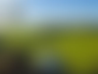 Hualalai golf course big island