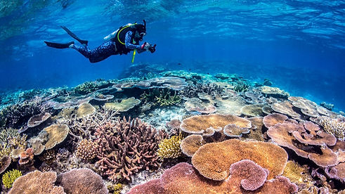 MattCurnock-Scuba Diver-citizen science.jpg