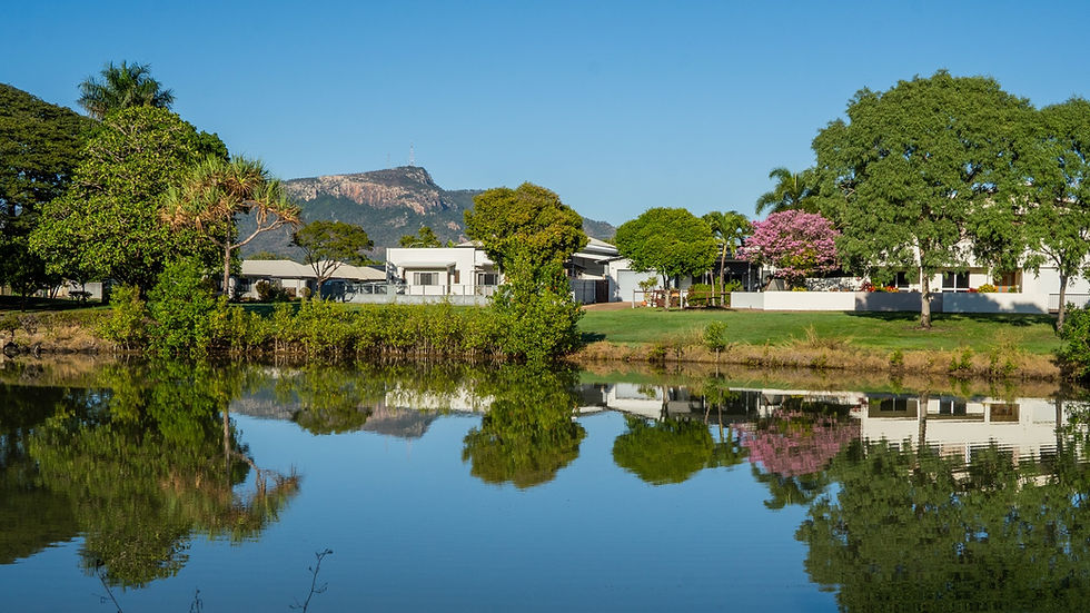 An urban wetland is clear of weeds and the urban landscape is reflected in the water