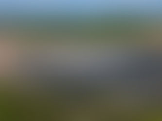 An aerial view of salt flats surrounded by mangroves and trees with small mountains in the background