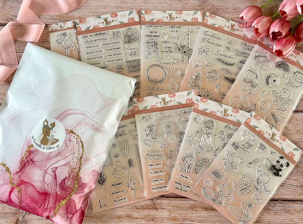 Miniature : Pochette L’Air du Vent *Les tampons*