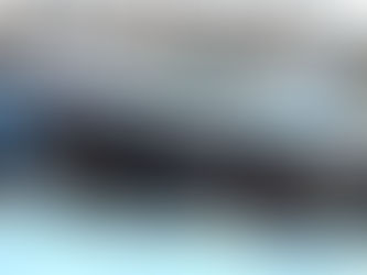 REGOLE DA RISPETTARE, OPPURE ESPULSIONE