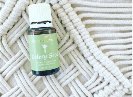 CELERY SEED OIL