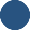 Ellipse 1 copy 3.png