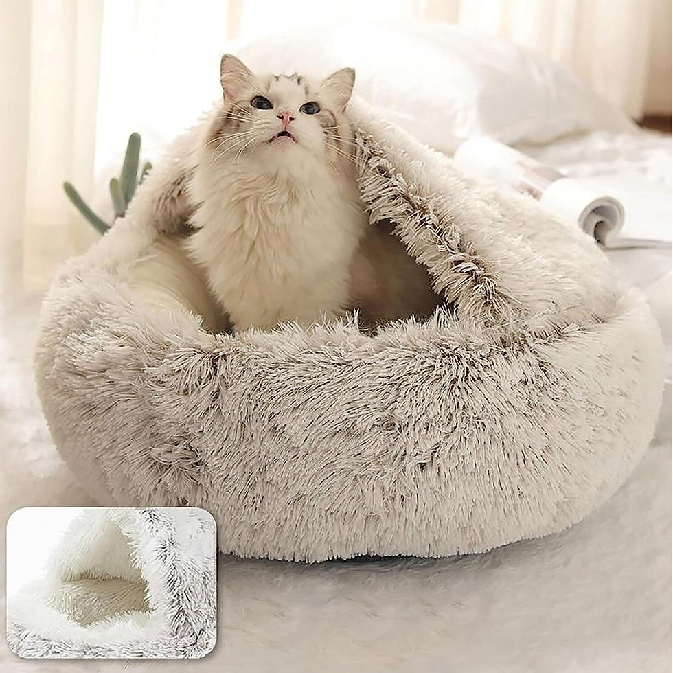 Thumbnail: Soft Plush Pet Bed with Cover Round Cat Bed Pet Mattress Warm Cat Dog 2 in 1 Sl