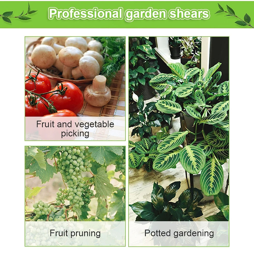 Thumbnail: Garden Tools Secateurs Bonsai Shears Metal Gardening Scissor Pruning Tool Hand