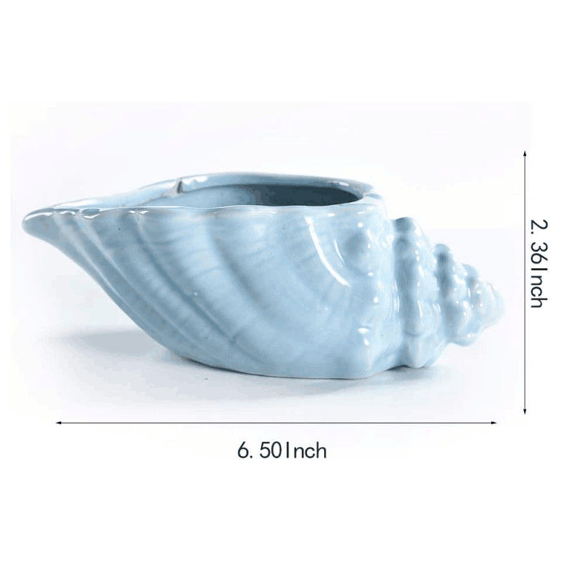 Thumbnail: 5.5 Inch Blue Conch Ocean Series Ceramic Set Succulent Plant Pot Cactus Flower