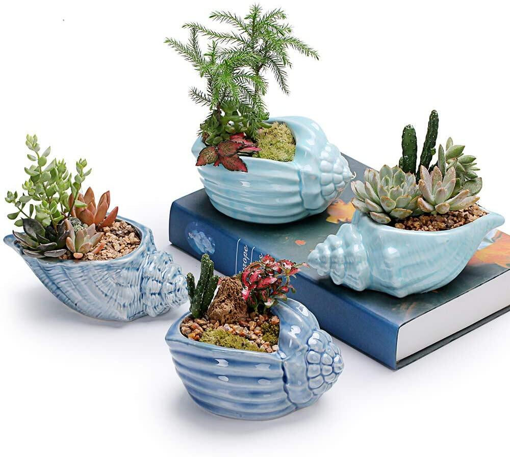 5.5 Inch Blue Conch Ocean Series Ceramic Set Succulent Plant Pot Cactus Flower