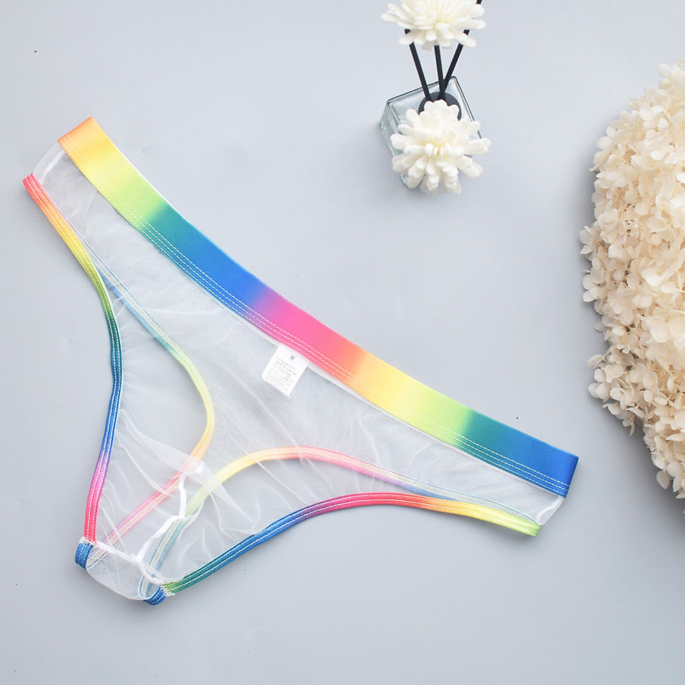 Miniatura: Mens Sexy Underwear Low Waist Briefs See ​​through Thong Mesh Underpants Bulge