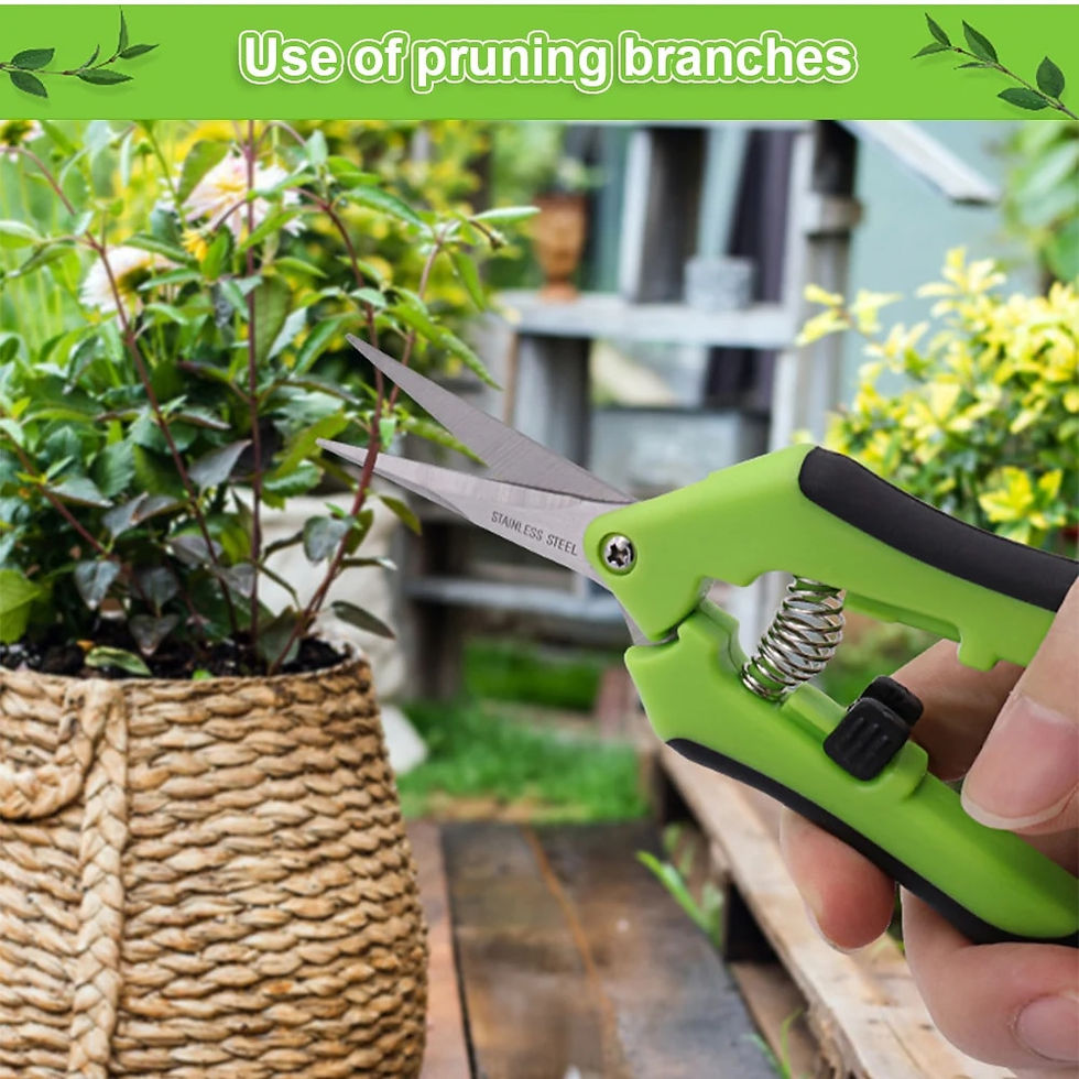 Thumbnail: Garden Tools Secateurs Bonsai Shears Metal Gardening Scissor Pruning Tool Hand