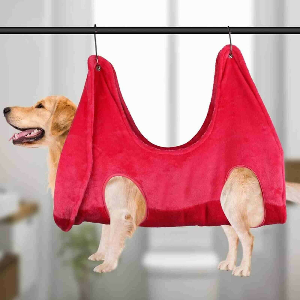 Thumbnail: Dog Grooming Hammock, Nail Trimming Helper, Dog Grooming Harness Multifunctiona