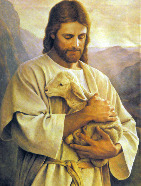 Jesus-holds-lamb.gif