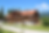 Bildschirmfoto 2026-05-20 um 11.33.16.png