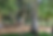 Bildschirmfoto 2026-05-20 um 11.33.22.png