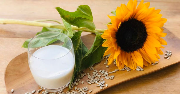 Milch aus Sonnenblumenkernen. Das geht wirklich!