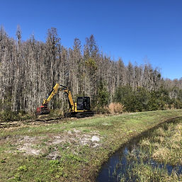 Conservation Area Cutbacks by Red Line Silt Tampa, FL