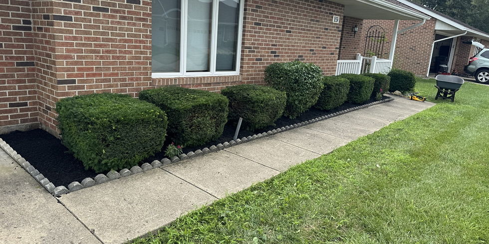 Copy of Copy of Copy of Copy of Copy of . - 2025-10-09T124631.796.png