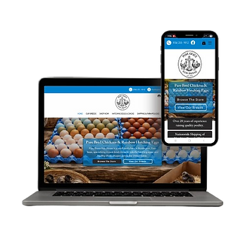 Pure Grace Hen House E-Commerce Website Designed by Divine Flow Digital