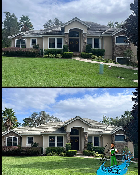 Low Pressure Roof Cleaning Services by Stokes Professional Pressure Washing in Apopka, FL