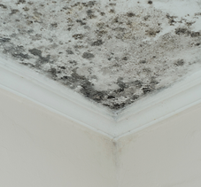 Hidden Moisture Detection & Infrared Inspections with Armstrong Cleaning Restoration