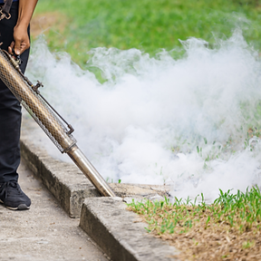 Mosquito Control with Bug Lady Pest Control Midland TX