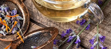 Herbal & Plant Medicine Support Services with Lake Superior Roots Healing