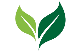 Eco-Friendly Cleaning by Shands Cleaning Services