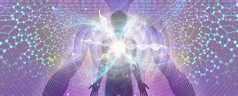 Wellness Programs & Energetic Systems Services with Lake Superior Roots Healing