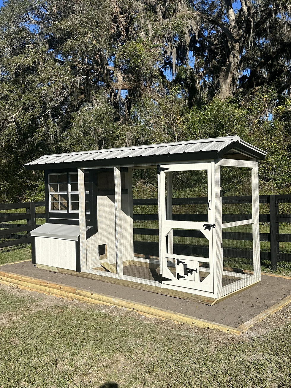 Thumbnail: Mini Mansion