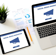 DIGITAL MEDIA SERVICES by MLV Consulting Group Inc