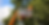 Untitled design (45).png