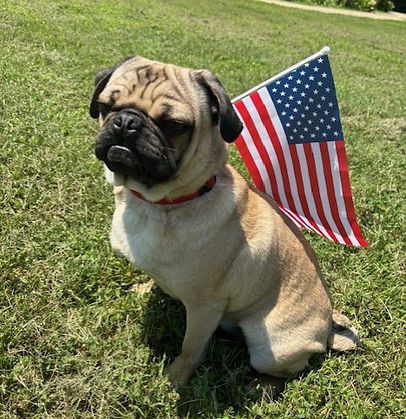 A Family-Owned Business You Can Count On