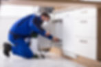 pest control specialist in Menifee, California