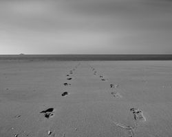 Vergängliche Signaturen